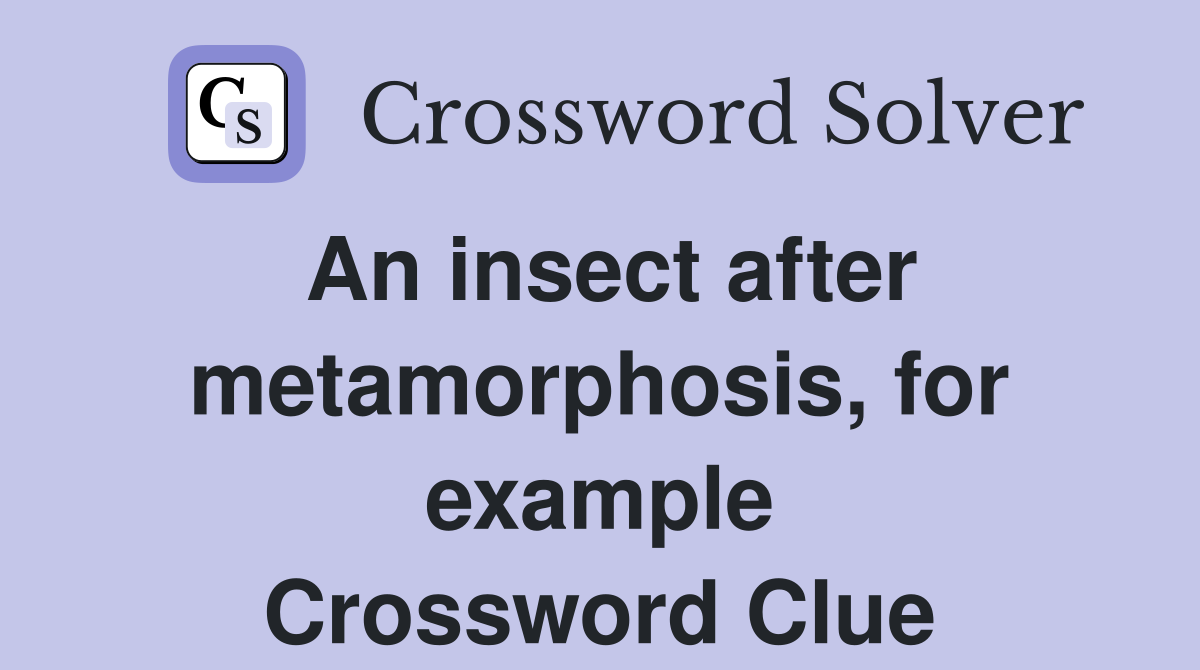 An insect after metamorphosis, for example Crossword Clue