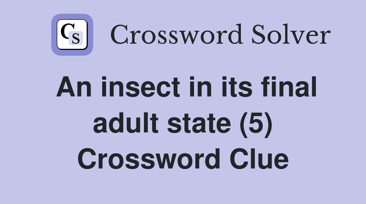 An insect in its final adult state (5) Crossword Clue