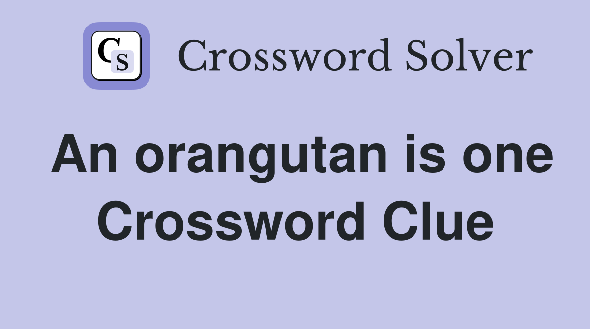 An orangutan is one Crossword Clue