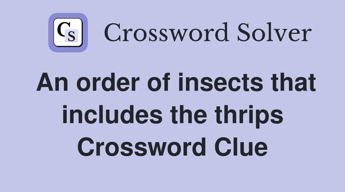 An order of insects that includes the thrips Crossword Clue