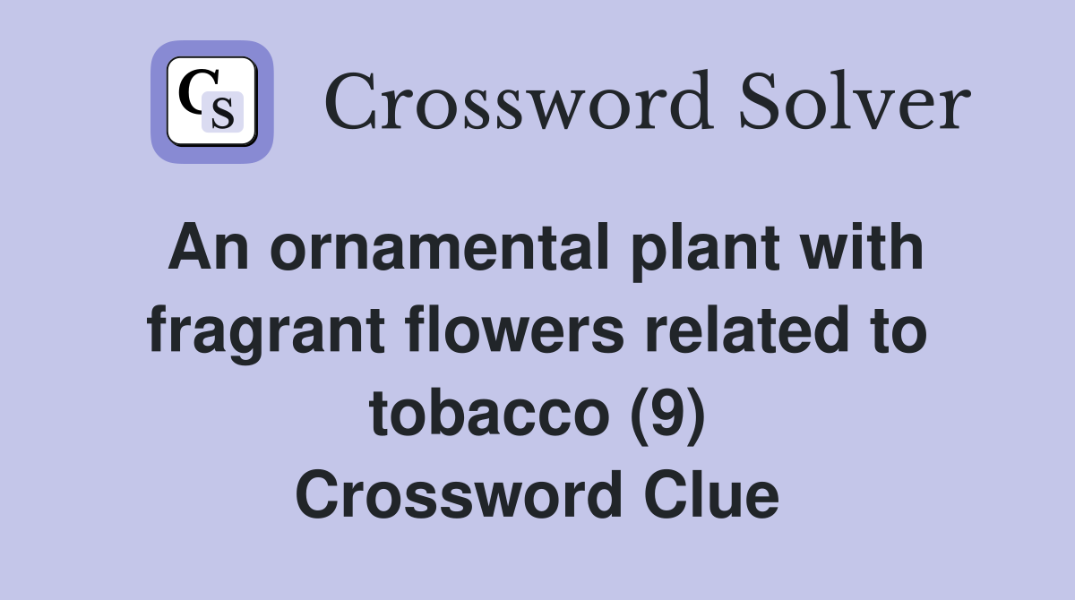 An ornamental plant with fragrant flowers related to tobacco (9) Crossword Clue