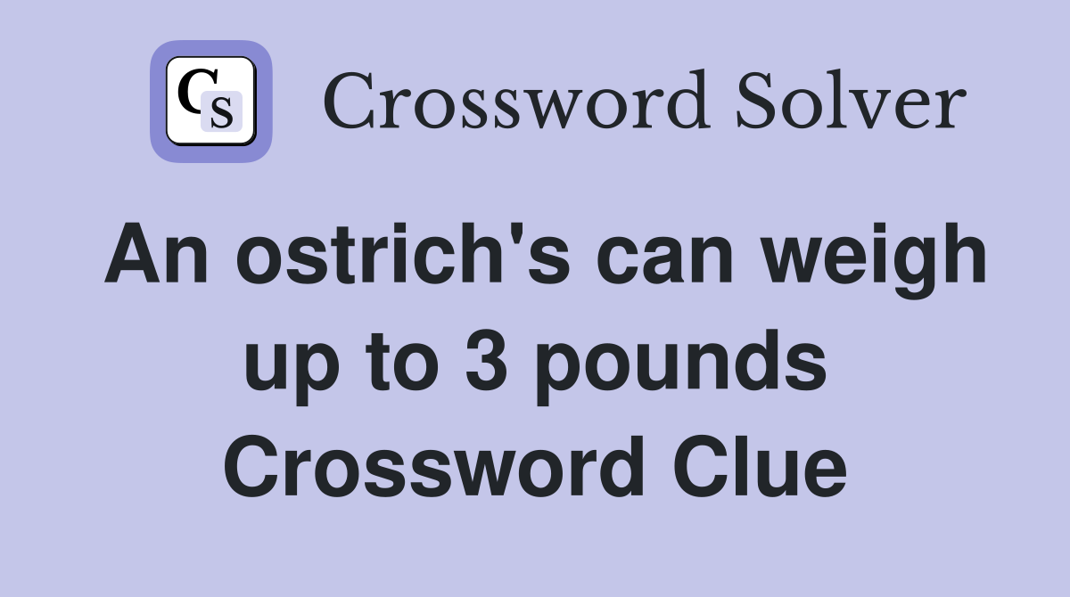 An ostrich's can weigh up to 3 pounds Crossword Clue