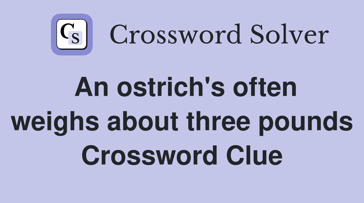 An ostrich's often weighs about three pounds Crossword Clue