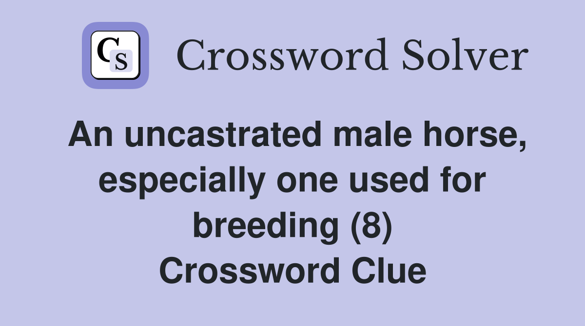 An uncastrated male horse, especially one used for breeding (8) Crossword Clue