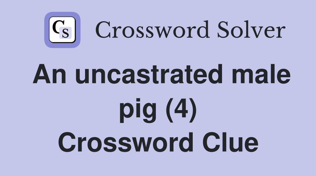 An uncastrated male pig (4) Crossword Clue