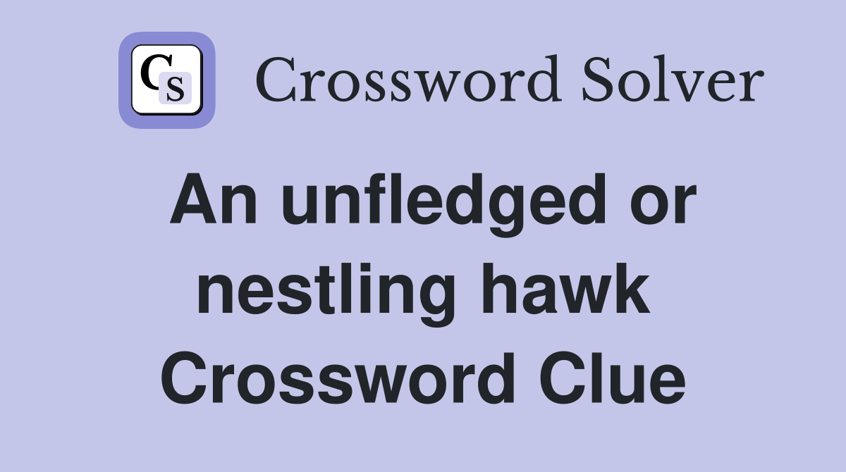 An unfledged or nestling hawk Crossword Clue