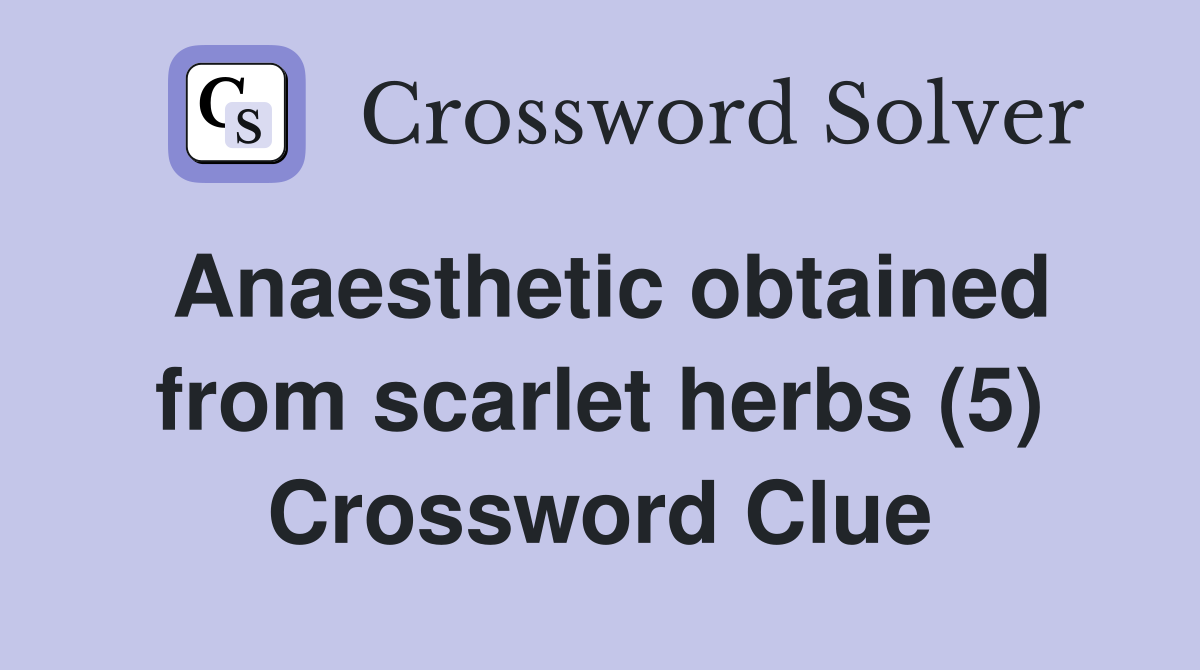 Anaesthetic obtained from scarlet herbs (5) Crossword Clue