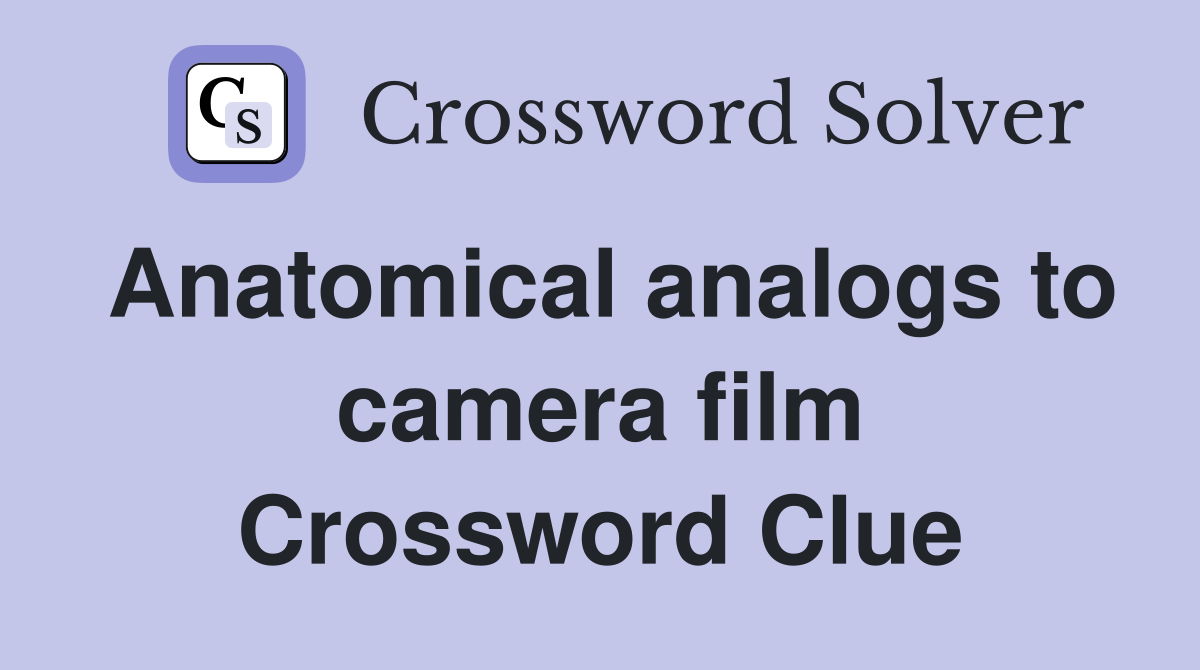 Anatomical analogs to camera film Crossword Clue
