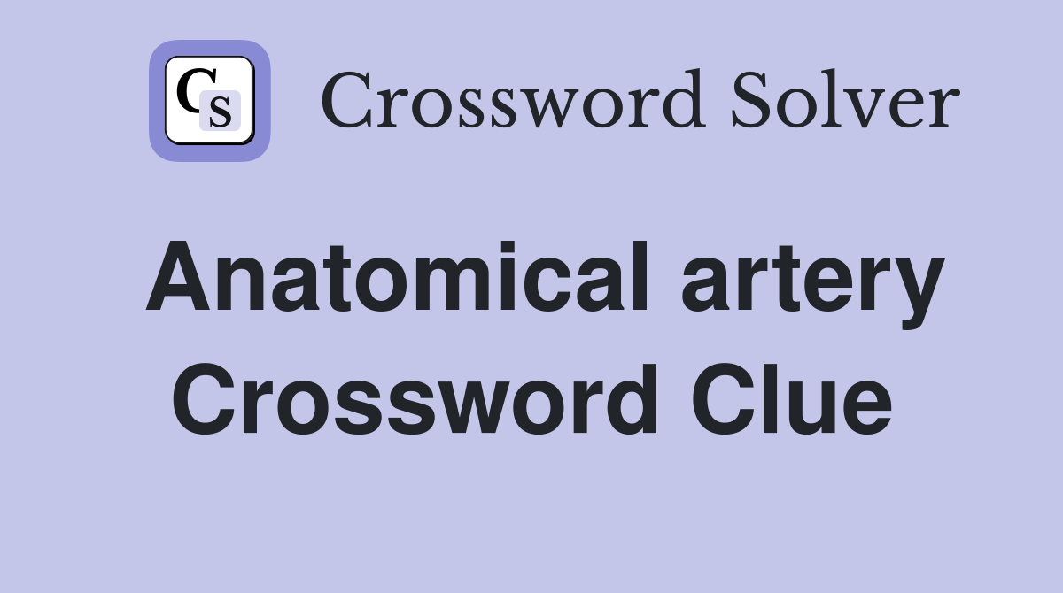 Anatomical artery Crossword Clue
