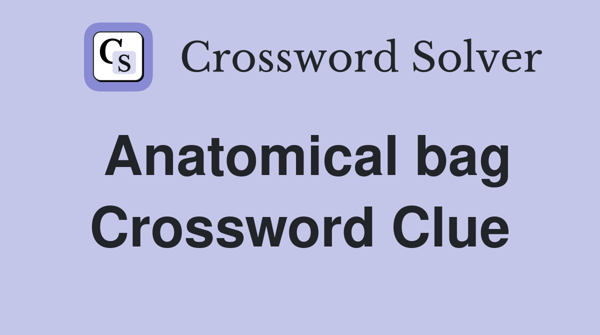 Anatomical bag Crossword Clue