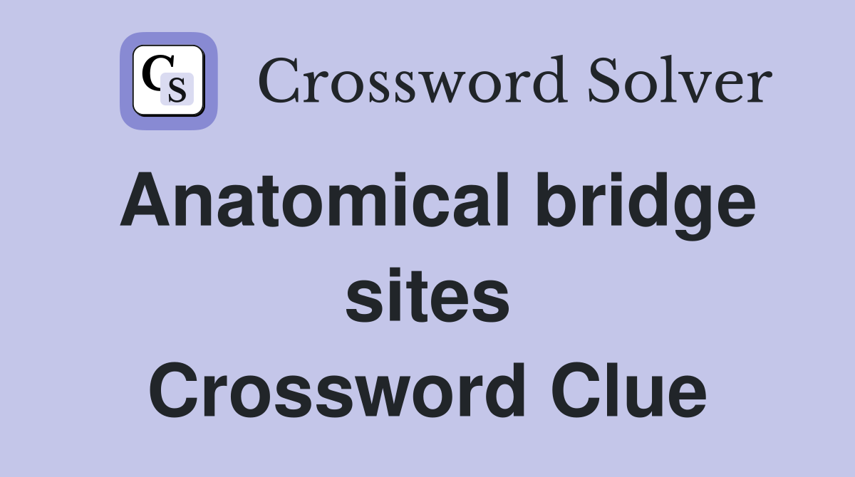 Anatomical bridge sites Crossword Clue