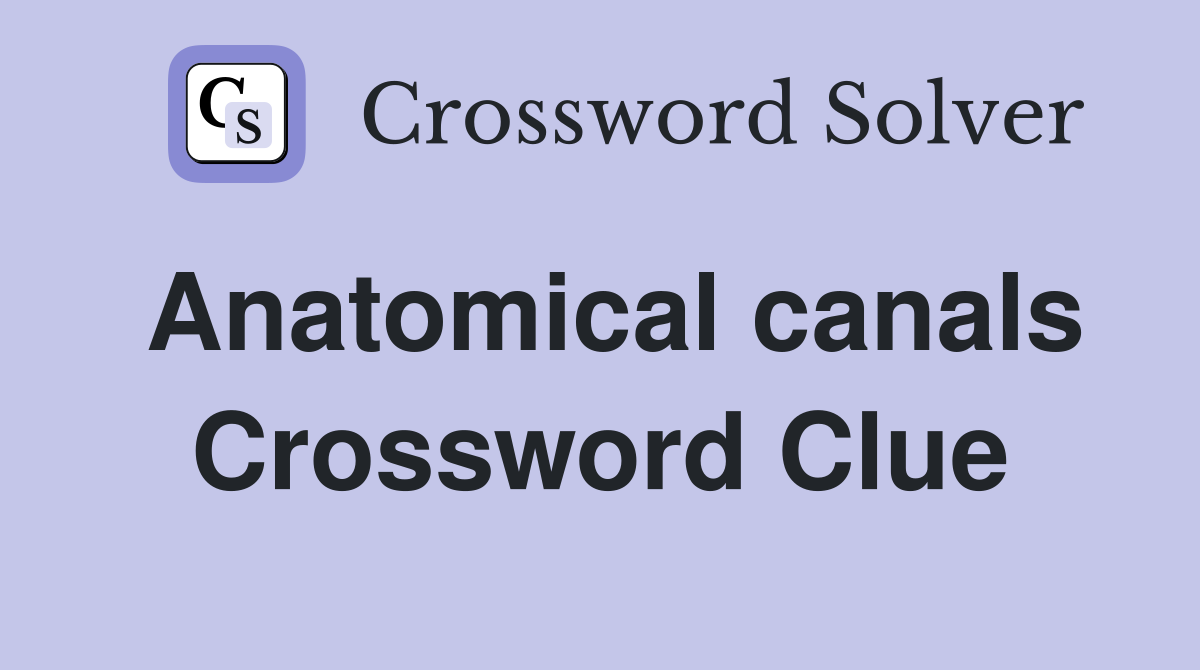 Anatomical canals Crossword Clue