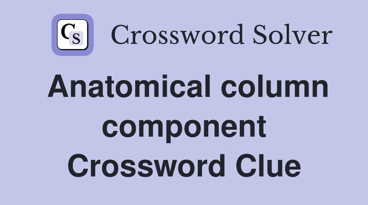 Anatomical column component Crossword Clue
