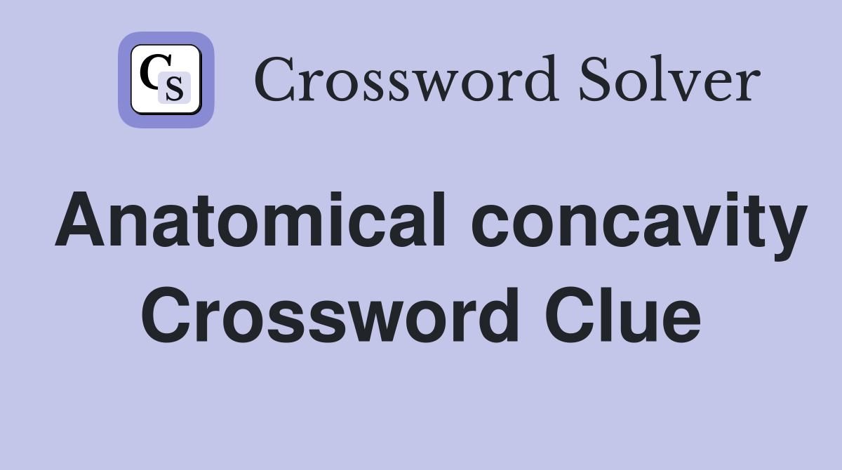 Anatomical concavity Crossword Clue