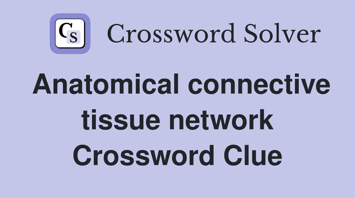 Anatomical connective tissue network Crossword Clue