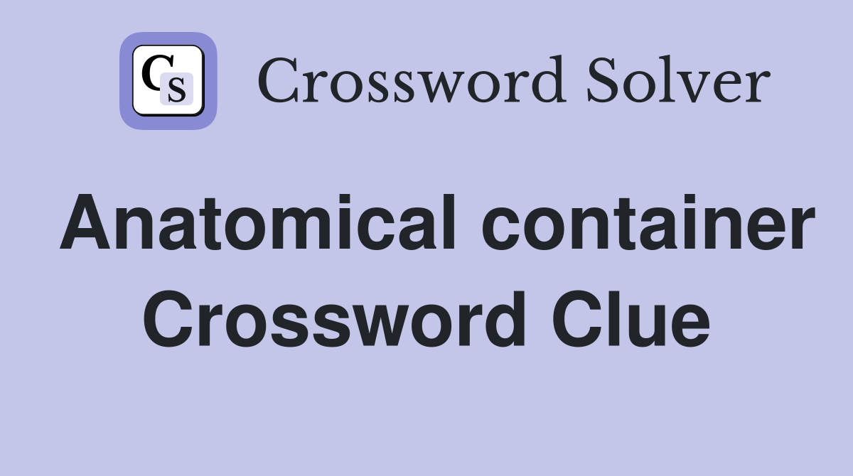 Anatomical container Crossword Clue