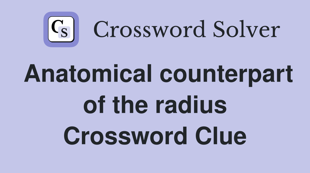 Anatomical counterpart of the radius Crossword Clue