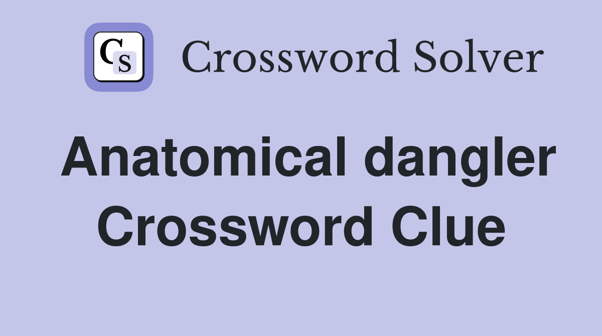 Anatomical dangler Crossword Clue