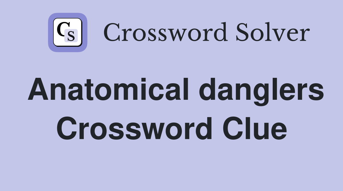 Anatomical danglers Crossword Clue
