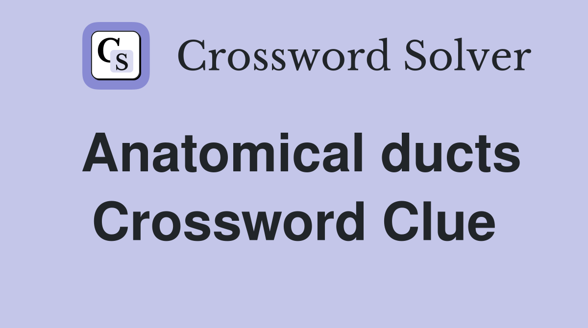 Anatomical ducts Crossword Clue