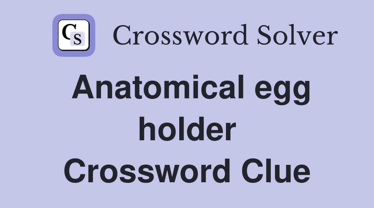 Anatomical egg holder Crossword Clue