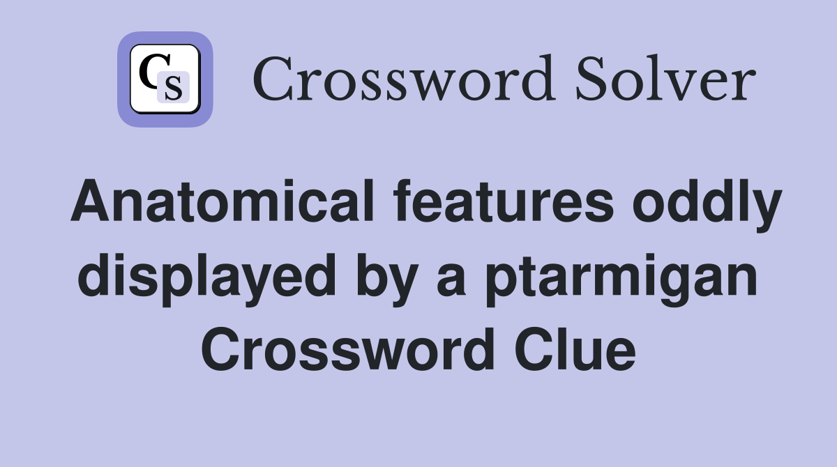 Anatomical features oddly displayed by a ptarmigan Crossword Clue