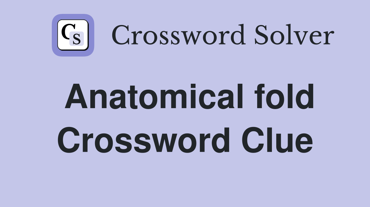 Anatomical fold Crossword Clue