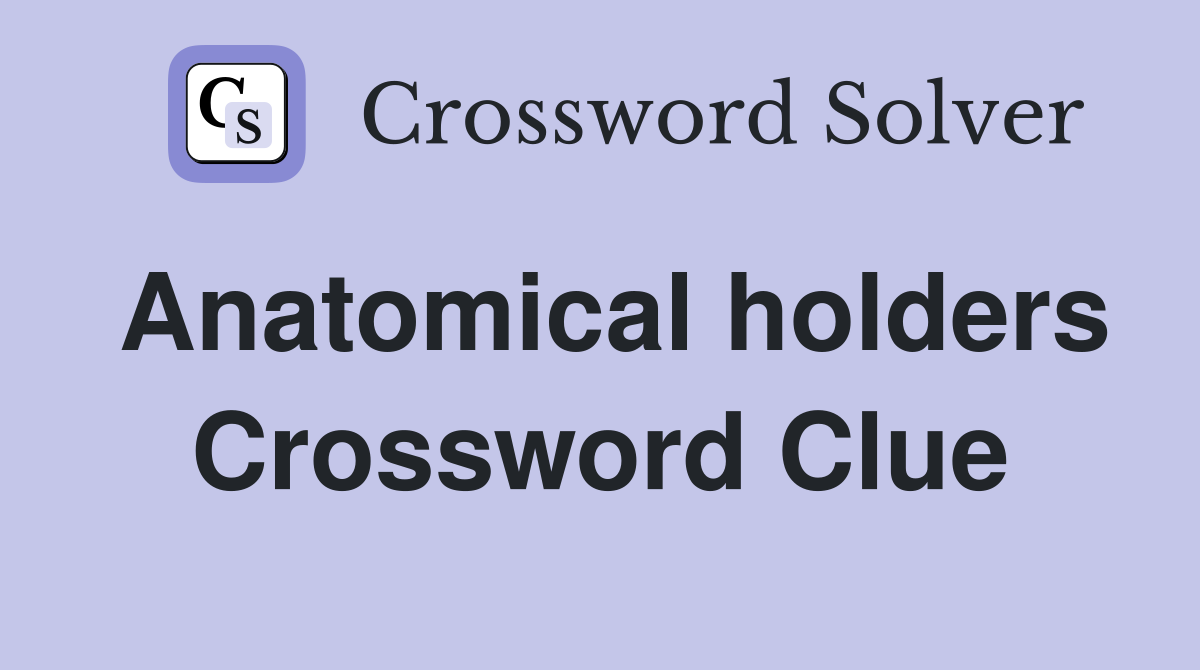 Anatomical holders Crossword Clue