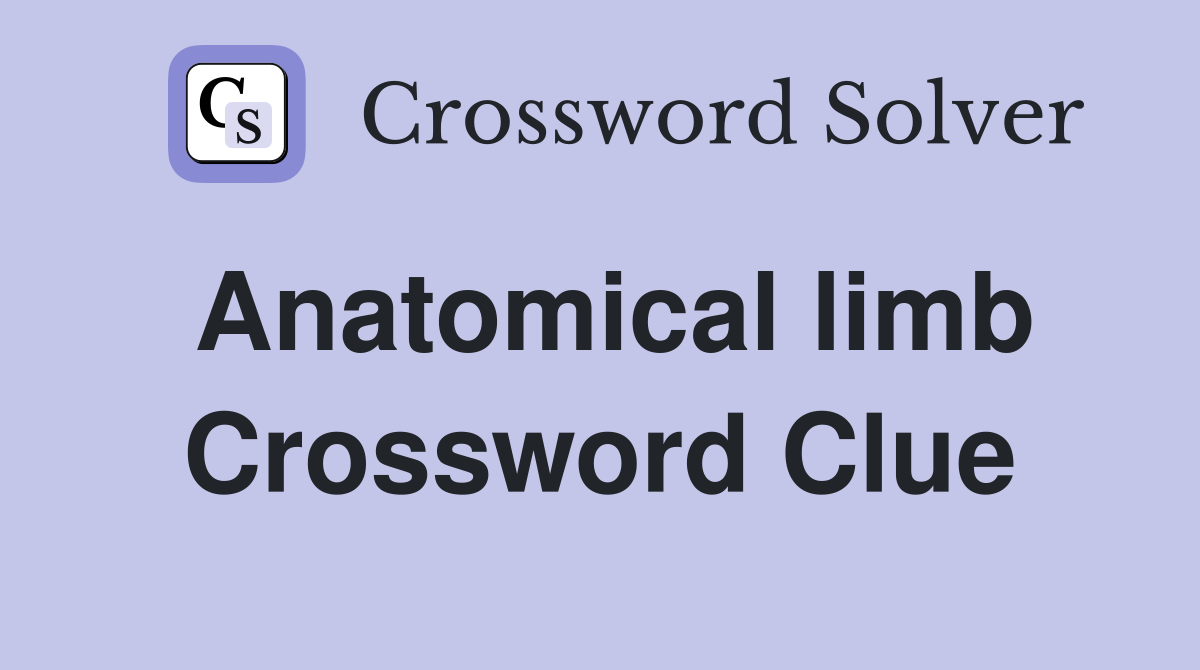 Anatomical limb Crossword Clue