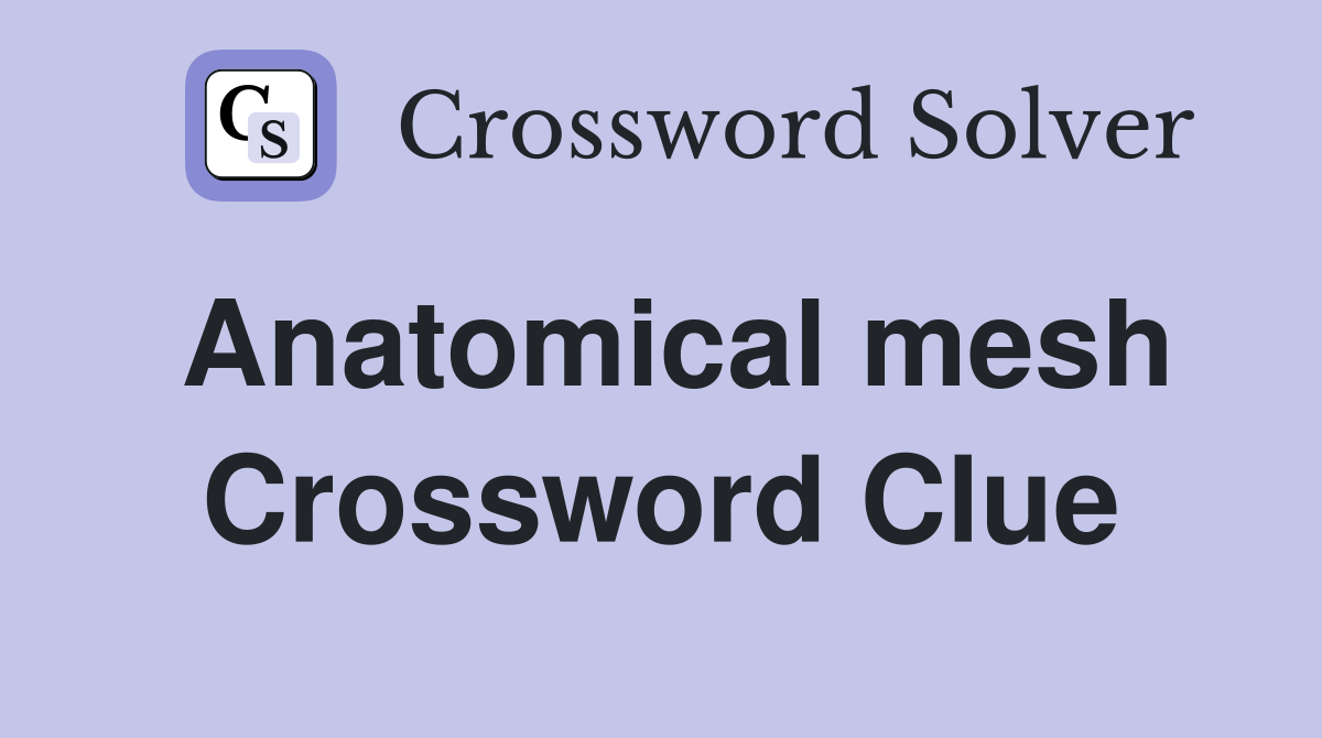Anatomical mesh Crossword Clue