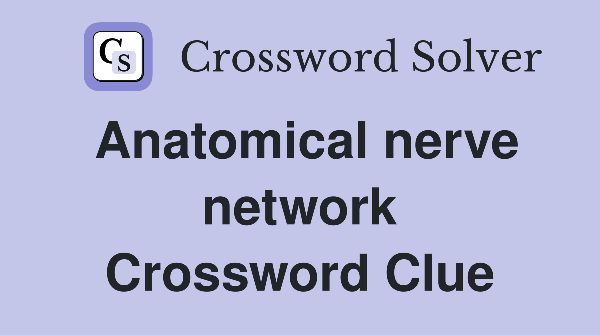 Anatomical nerve network Crossword Clue