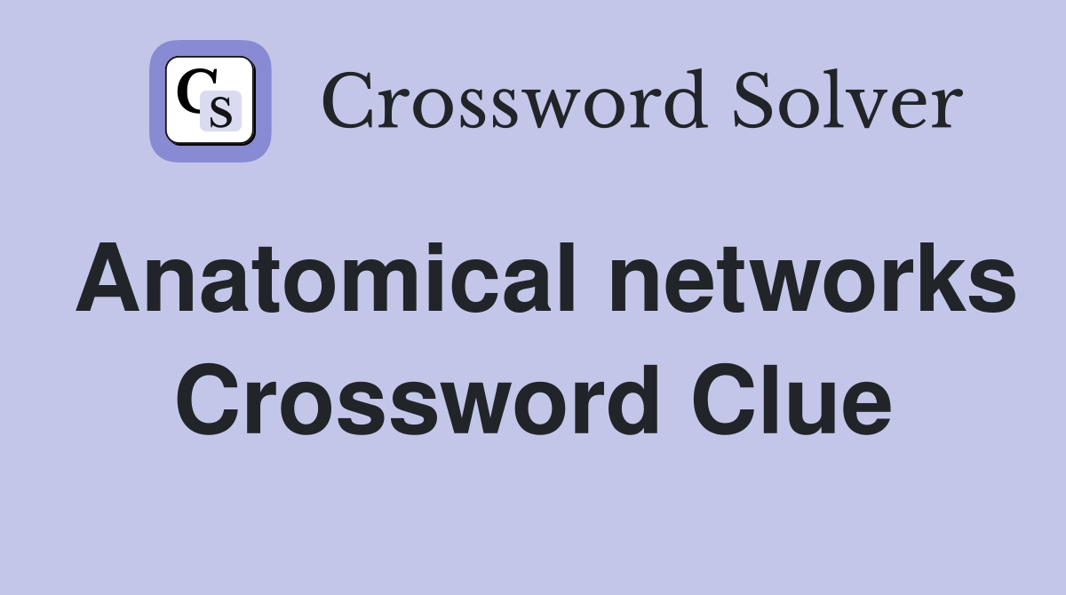 Anatomical networks Crossword Clue