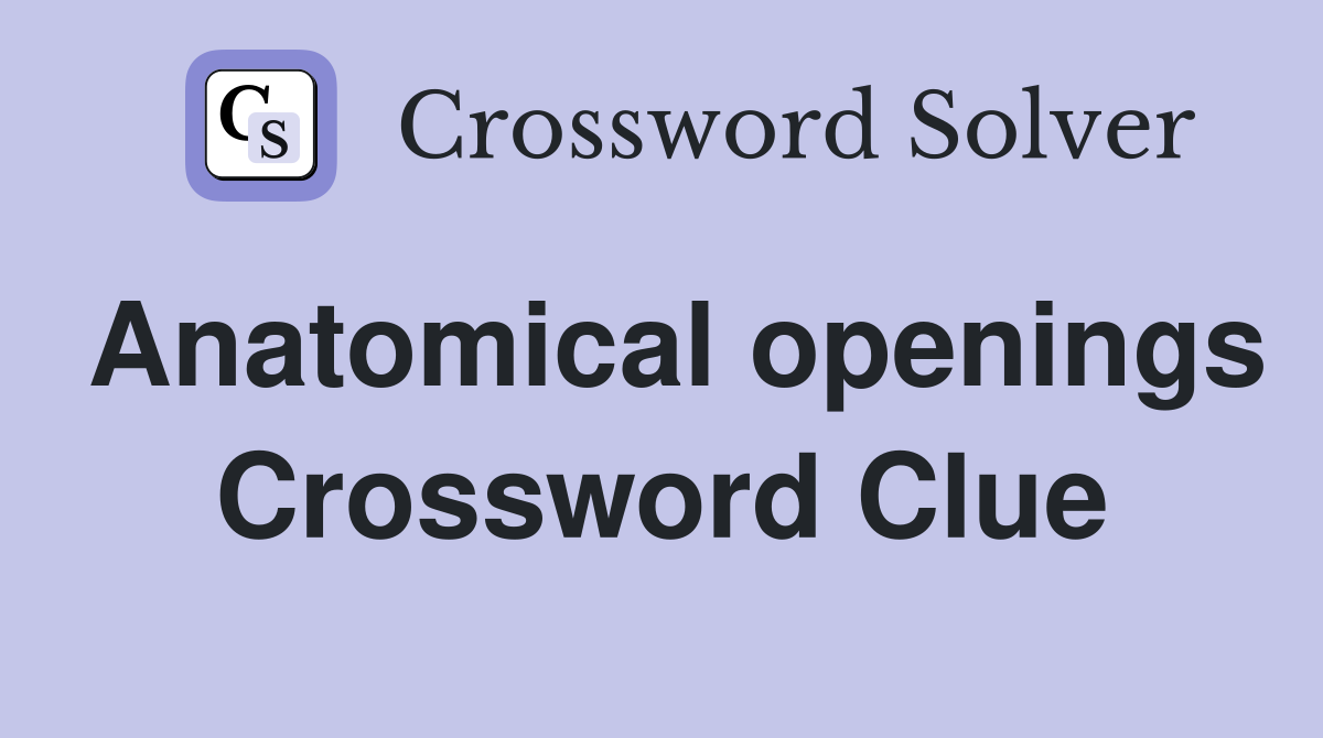 Anatomical openings Crossword Clue