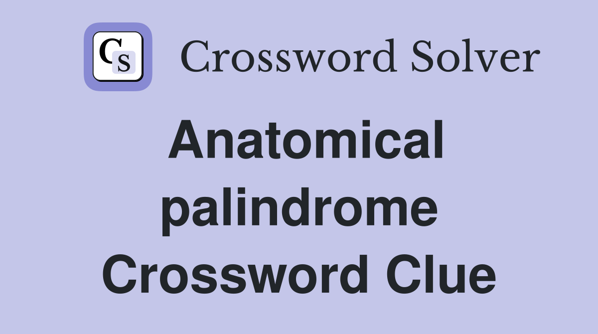 Anatomical palindrome Crossword Clue