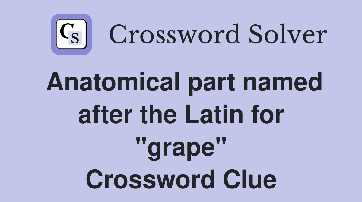 Anatomical part named after the Latin for "grape" Crossword Clue