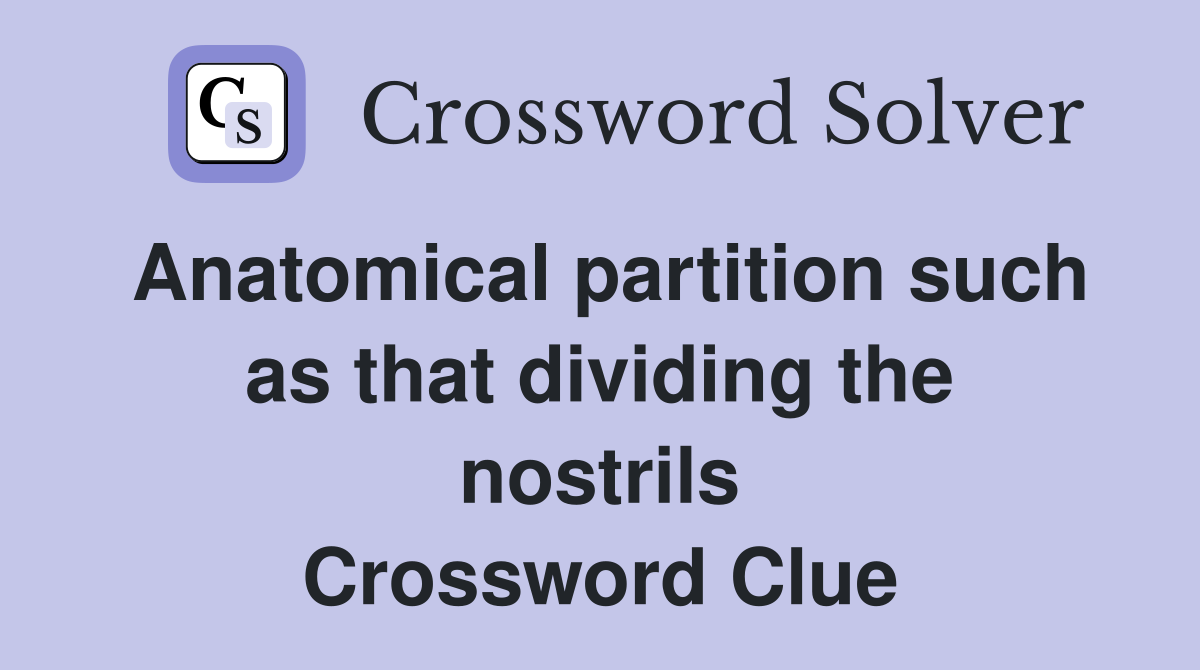 Anatomical partition such as that dividing the nostrils Crossword Clue