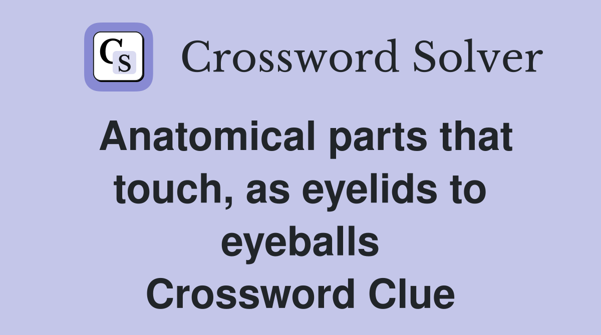 Anatomical parts that touch, as eyelids to eyeballs Crossword Clue