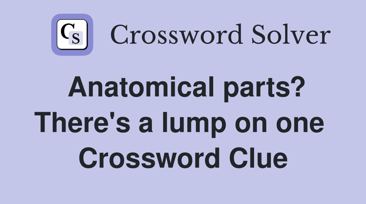 Anatomical parts? There's a lump on one  Crossword Clue