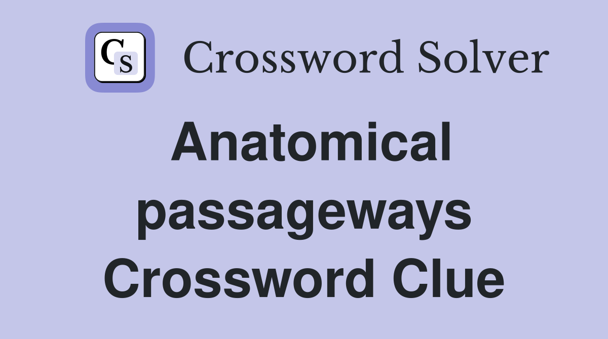 Anatomical passageways Crossword Clue