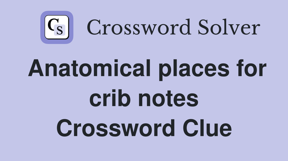 Anatomical places for crib notes Crossword Clue