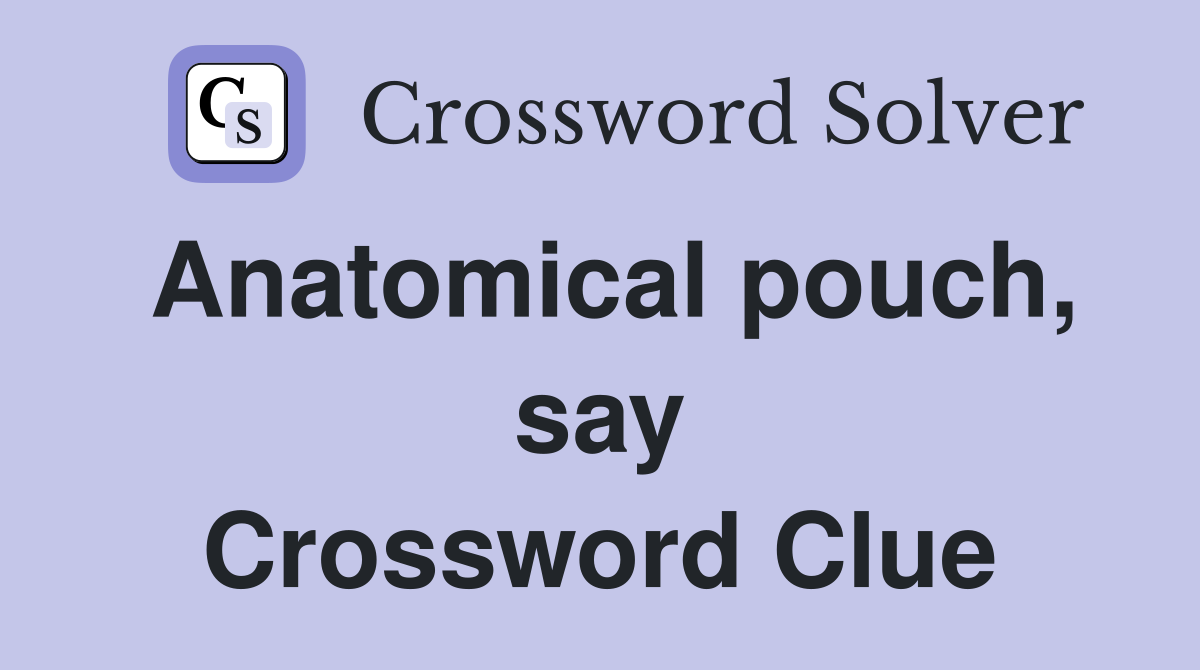 Anatomical pouch, say Crossword Clue
