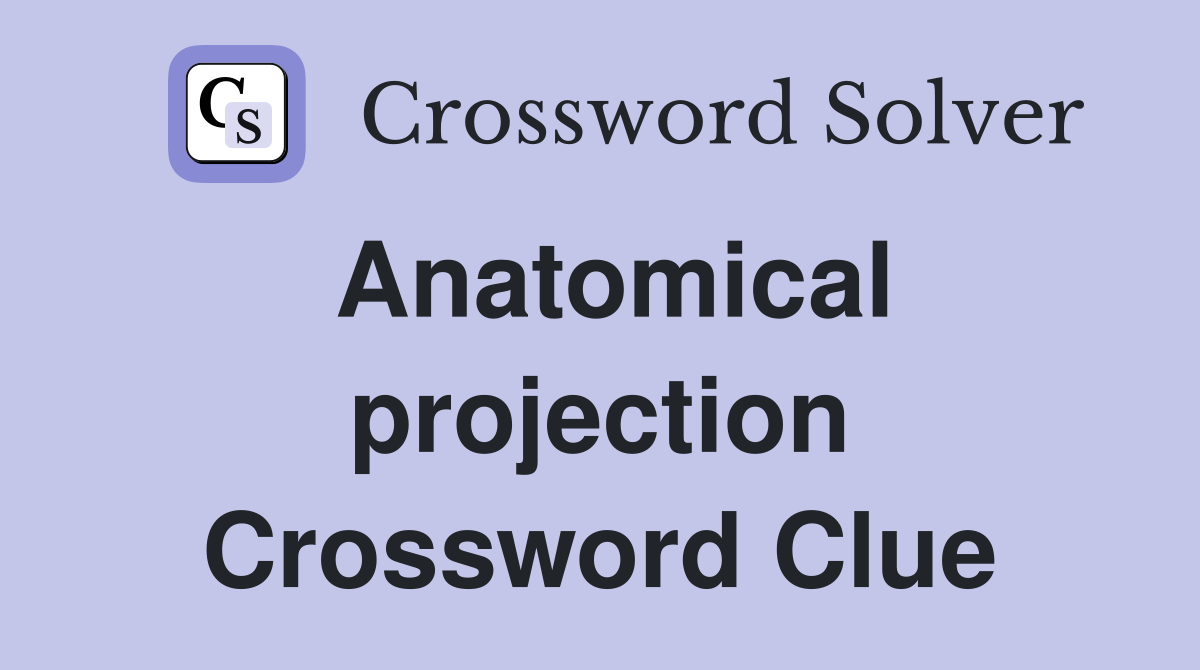 Anatomical projection Crossword Clue
