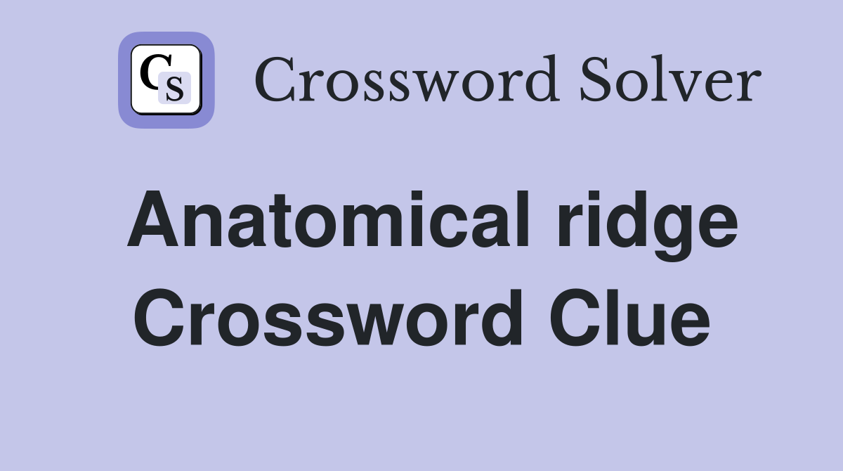 Anatomical ridge Crossword Clue