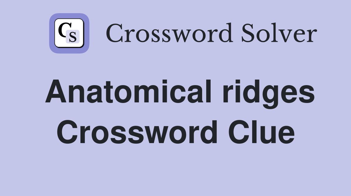 Anatomical ridges Crossword Clue