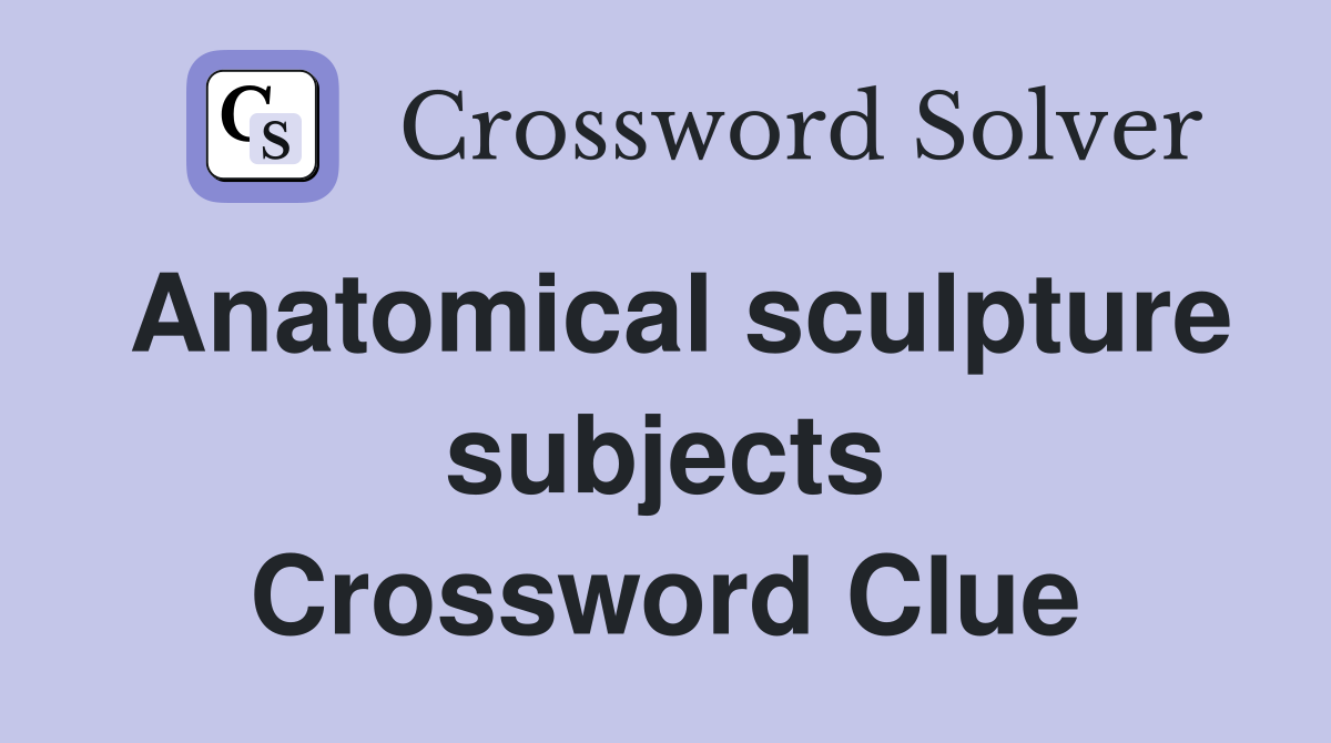 Anatomical sculpture subjects Crossword Clue