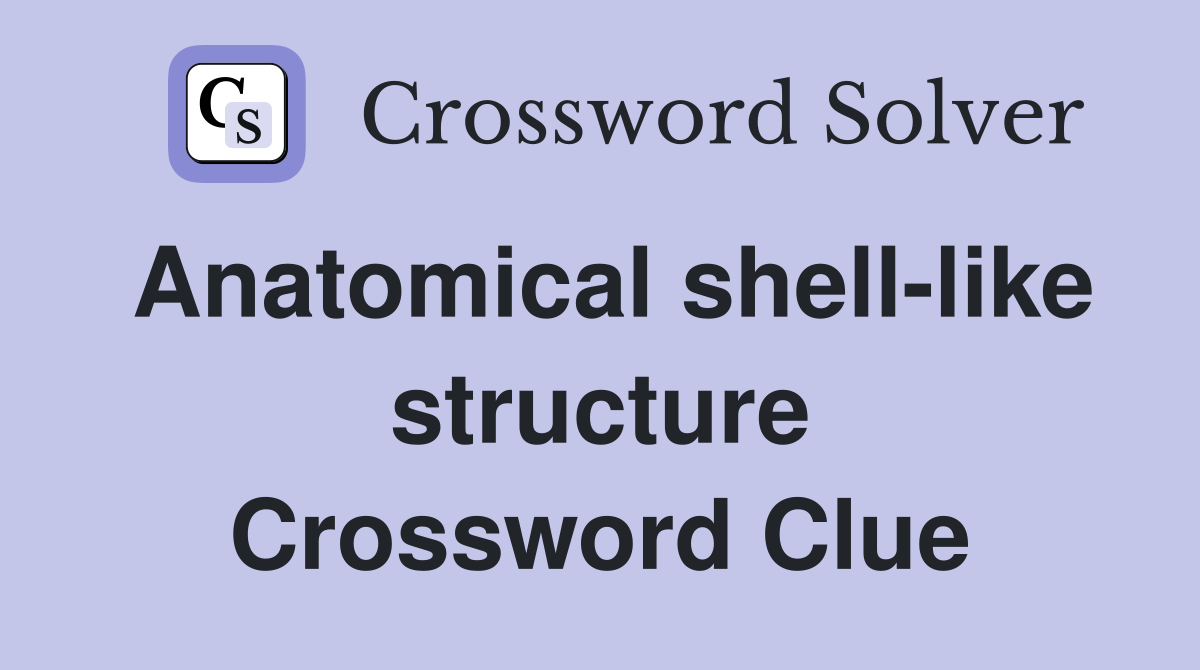 Anatomical shell-like structure Crossword Clue