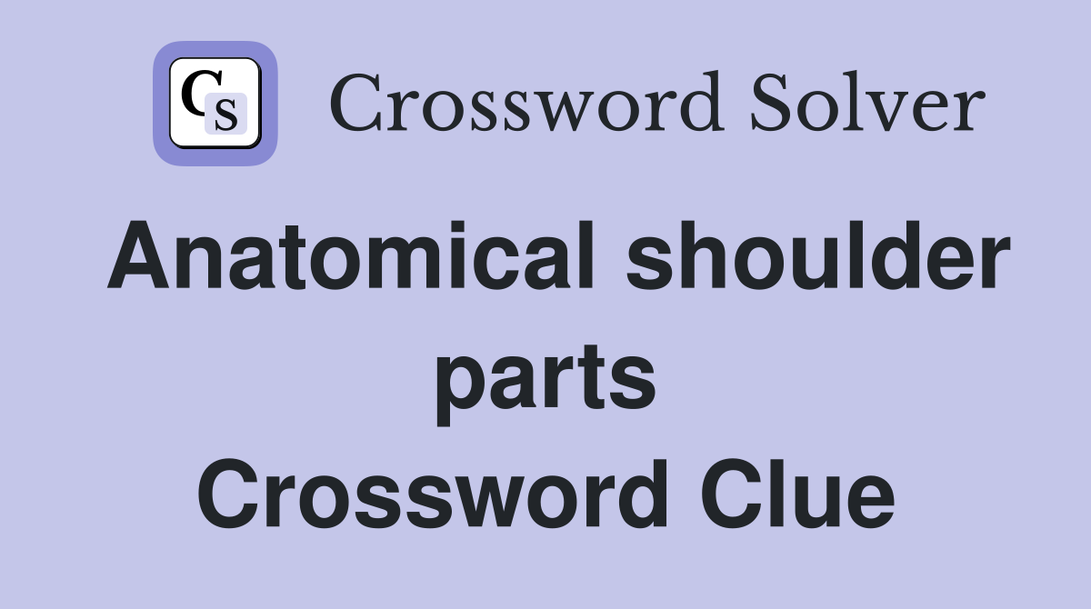 Anatomical shoulder parts Crossword Clue