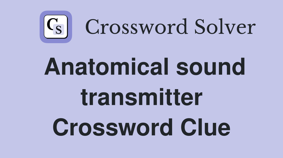 Anatomical sound transmitter Crossword Clue