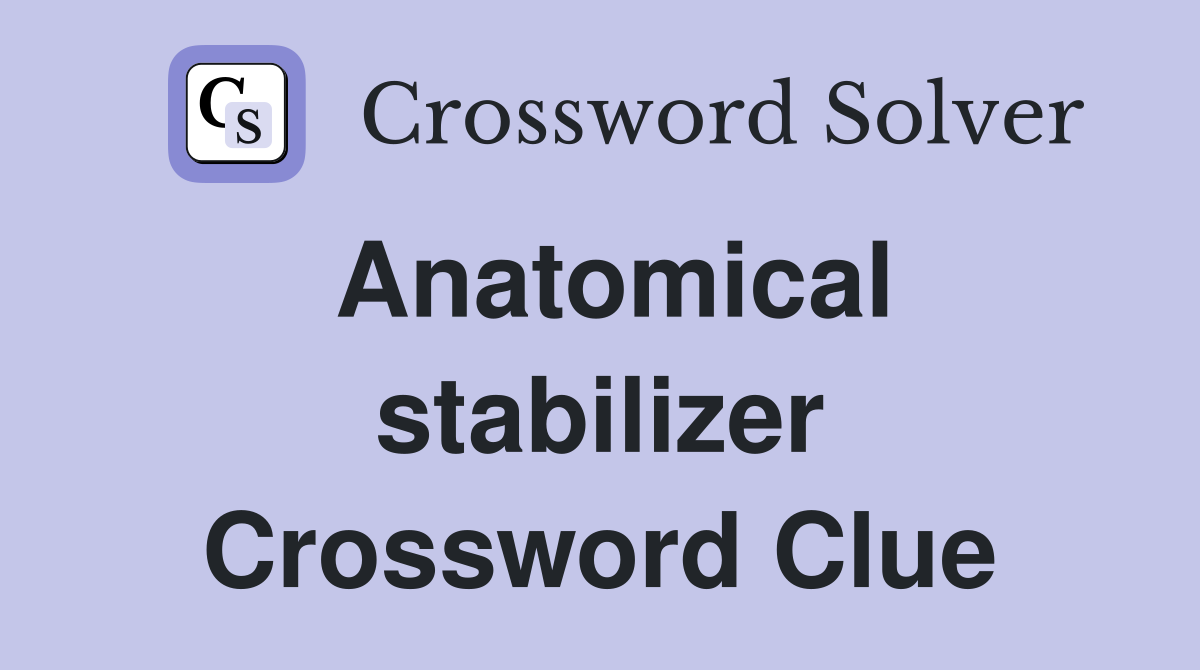 Anatomical stabilizer Crossword Clue Answers Crossword Solver