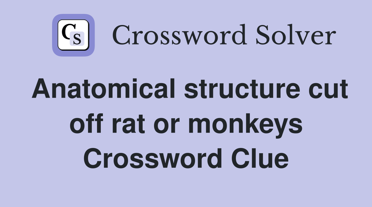 Anatomical structure cut off rat or monkeys Crossword Clue